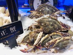 -加餐海鲜自助(宝龙一城店)