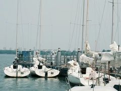 -金鸡湖游船(月光码头)