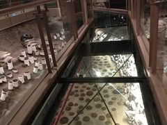 -元代水闸遗址博物馆