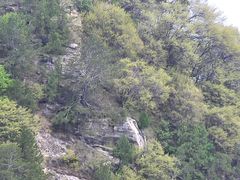 -少华山国家森林公园