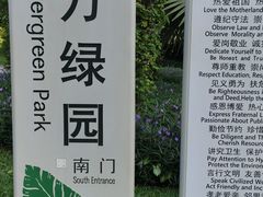 -万绿园
