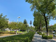 -楼兰新疆主题餐厅(苏州中心店)