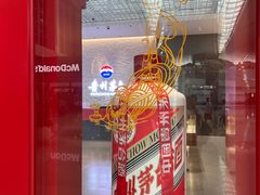 -贵阳龙洞堡国际机场-T2航站楼