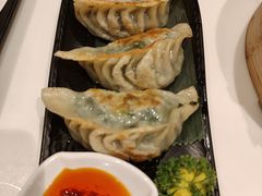 传统韭菜饺-虾饺妹·酒家(金碧店)