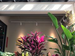 -HOMES上海本帮菜(襄阳公园店)