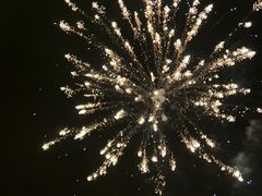 -顾村公园3号门停车场