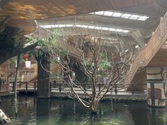 -南宫五洲植物乐园