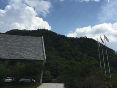 -牛背梁国家森林公园