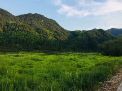 -楠溪江风景名胜区