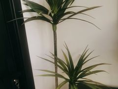 -Lazy Time Massage南亚按摩小馆(大悦城店)