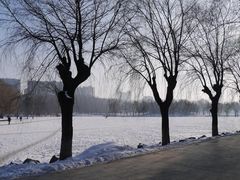 -二一九公园