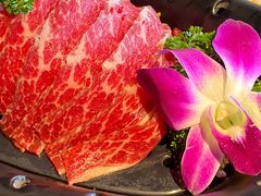 -凤园椰珍·臻品椰子鸡(保利时光里店)