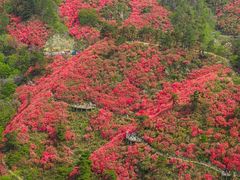 -木兰云雾山