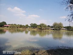 -上膳源有机农场