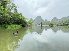 -靖西鹅泉风景区