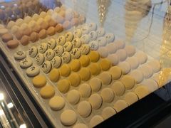 -BLACKSWAN黑天鹅(环球店)