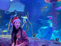 -沈阳海洋探索中心