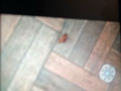 -Together·泰式按摩精油SPA(虹桥店)