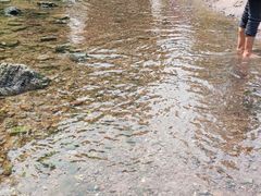-重庆彩云湖湿地公园