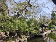 -秋霞圃