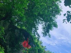 -终南山南五台景区