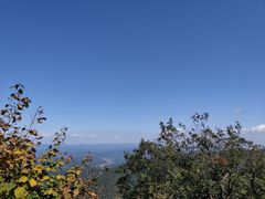 -三块石国家森林公园