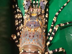 -Isla Sugbu Seafood City