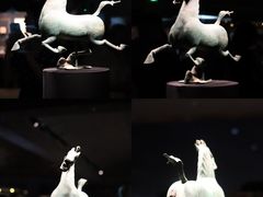 -甘肃省博物馆