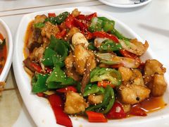 -煲来饱去冷水鱼