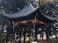 -梅园