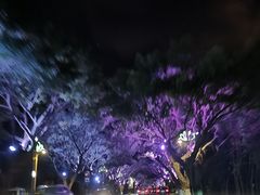-乐山市博物馆