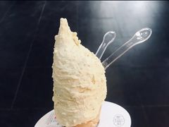 -野人先生现做冰淇淋(北京顺义祥云小镇店)