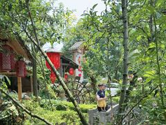 -青城甲(青城山店)