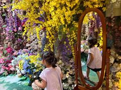 -正佳雨林生态植物园