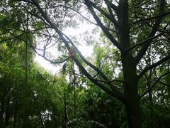 -重庆雨台山风景区