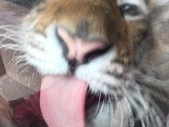 -新疆天山野生动物园