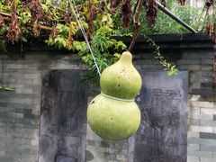 -广州神农草堂中医药博物馆