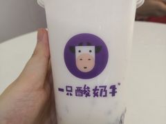-一只酸奶牛(时代天街A馆店)
