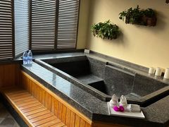 -春晖园度假酒店温泉