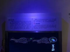 -白鹤梁水下博物馆