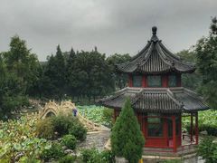 -莲池书院博物馆
