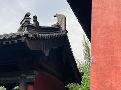 -善化寺