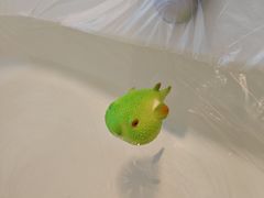 -永安鱼庄·镇江菜(东吴路店)