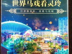 -灵玲国际马戏城