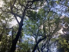 -杭州植物园
