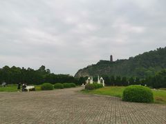 -南沙蒲洲花园