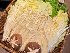 -同仁四季椰子鸡(福田车公庙店)
