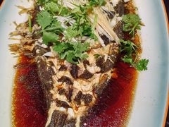 -一块豆腐(李沧书院路店)