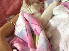 -Pets First伊珊娜洗护·精致美容·家庭式寄养(新会路店)