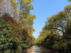 -上海海湾国家森林公园